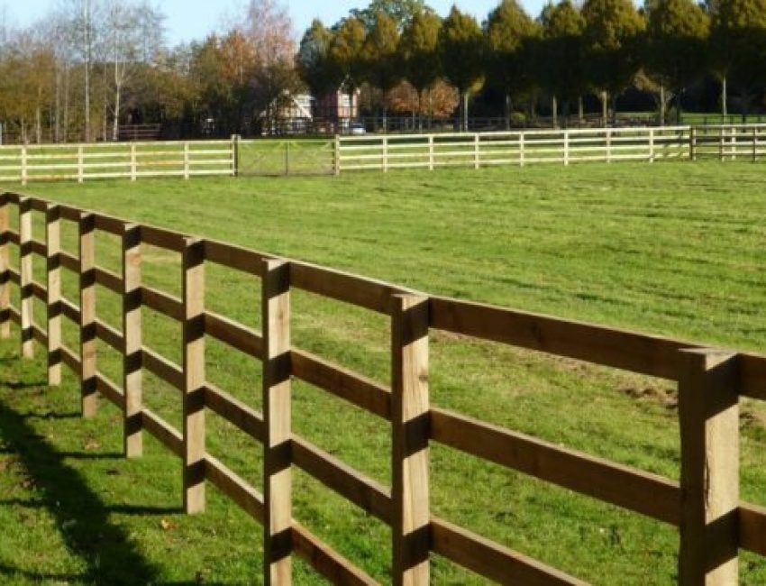 Equestrian Fencing