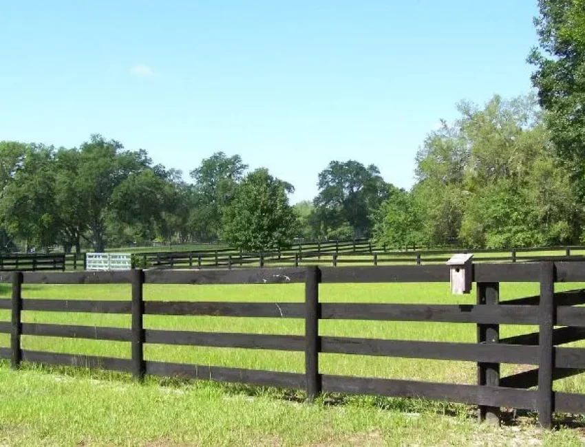 Equestrian Fencing